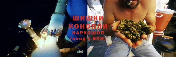 мдпв Богородск