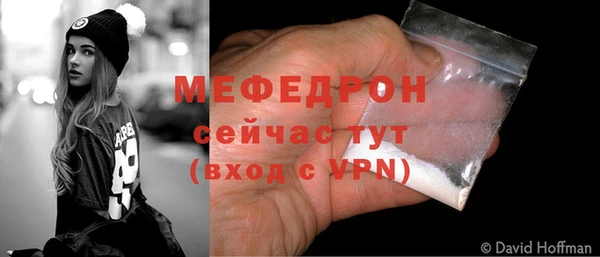 мдпв Богородск